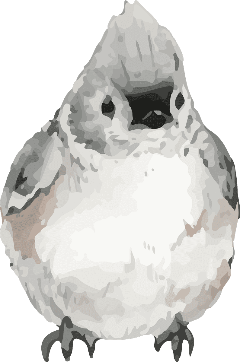 hand drawn wildlife set watercolor style