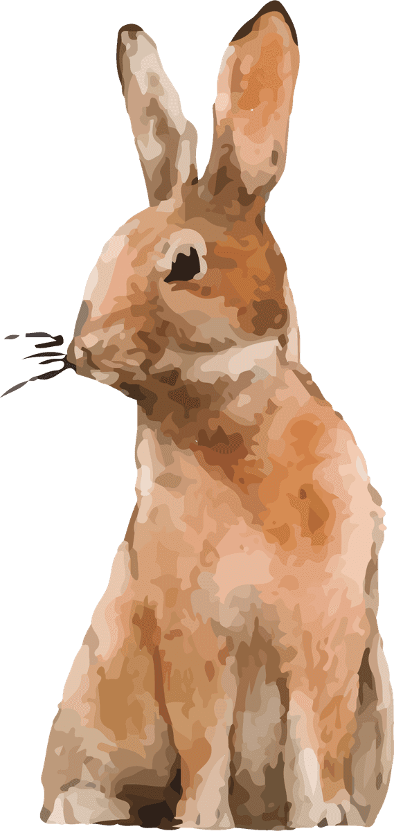 hand drawn wildlife set watercolor style