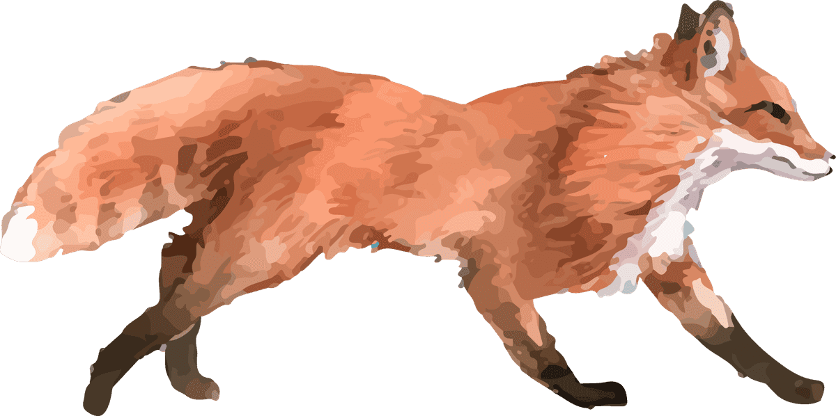 hand drawn wildlife set watercolor style