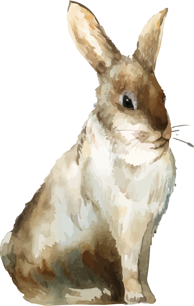 hand drawn wildlife set watercolor style
