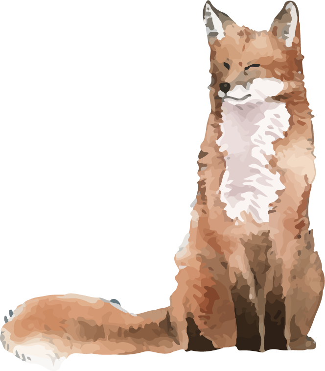 hand drawn wildlife set watercolor style