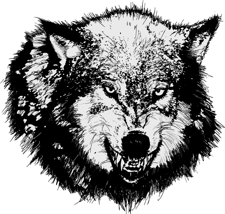 hell wolf free hellhound wolf vector