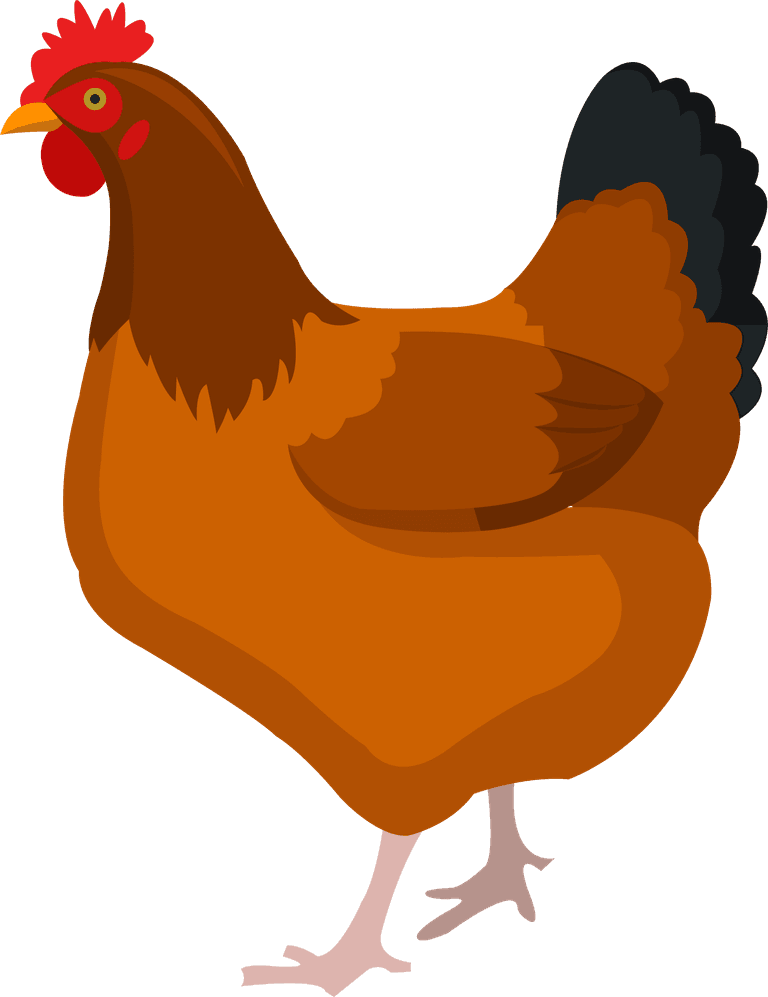 hen farm animals vintage set illustrations