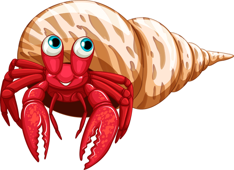 hermit crab cute funny different kinds of sea animals illustration