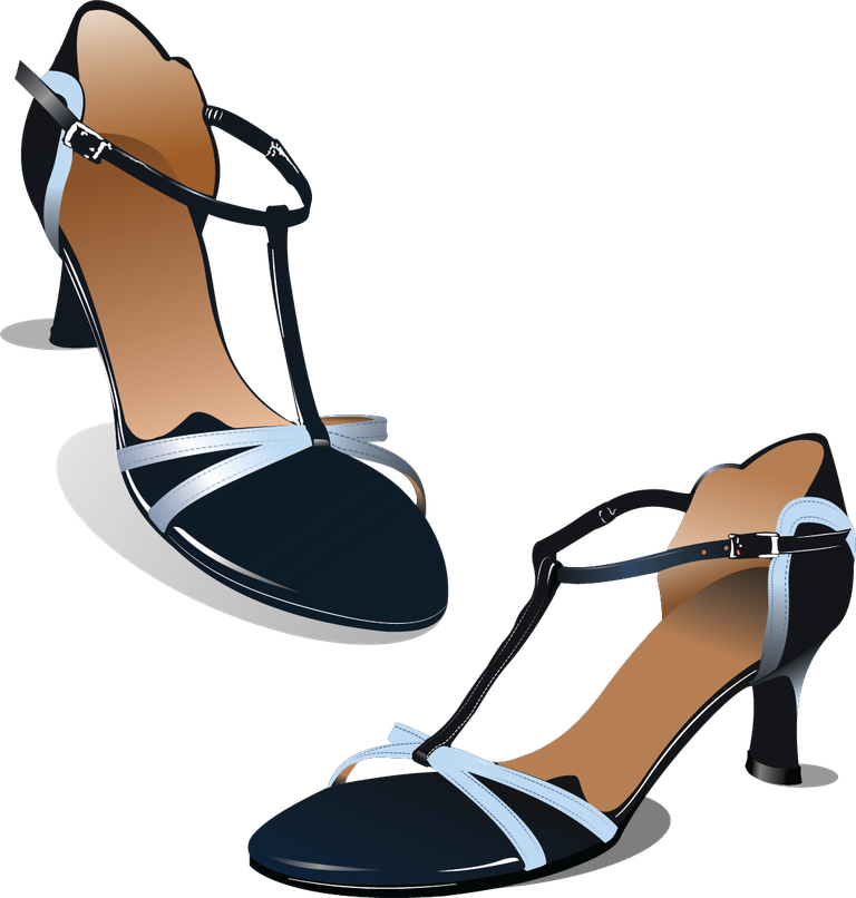 high heels shoe vector