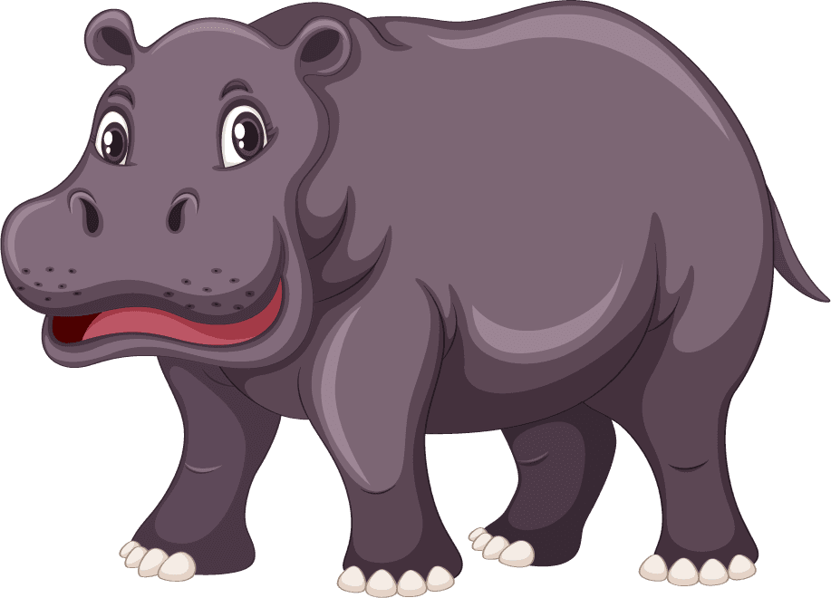 hippo set wild animals for kids educational fun and playful learning activities