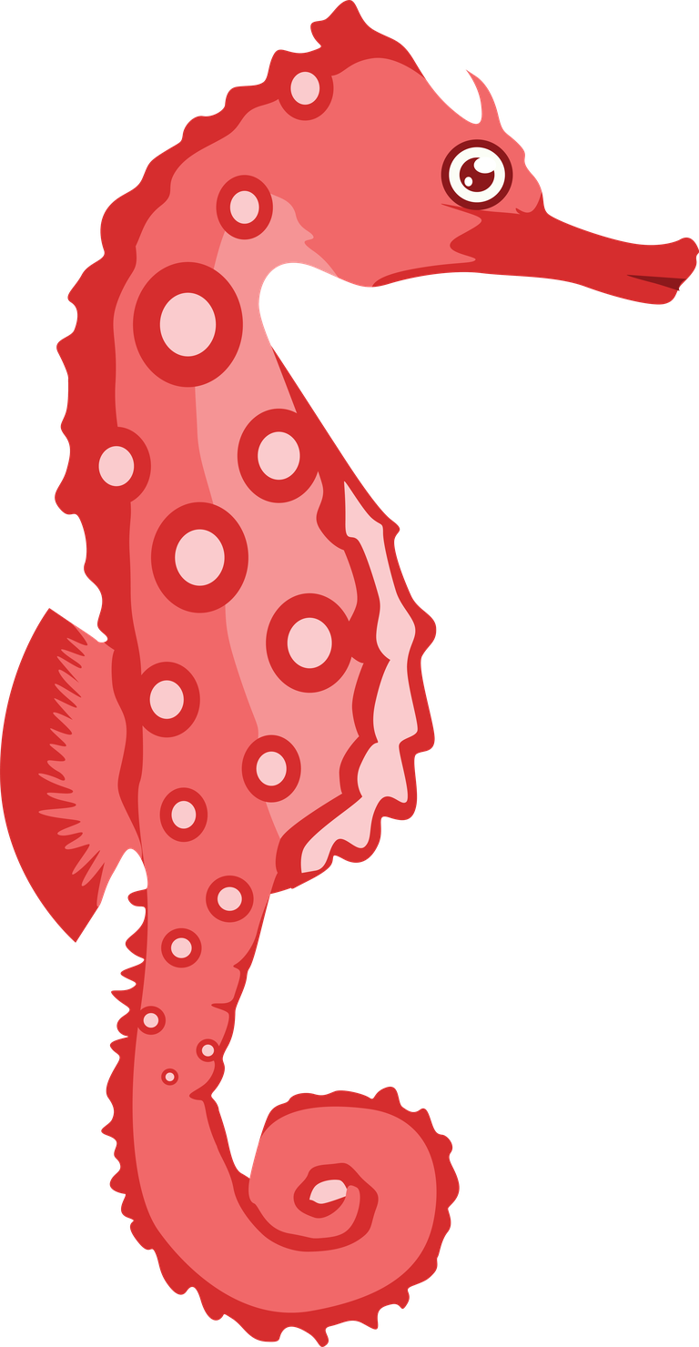 hippocampus marine animals common seafood drawing in playful cartoon style