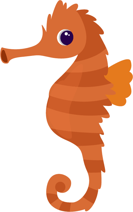 hippocampus marine species icons colorful animals sketch