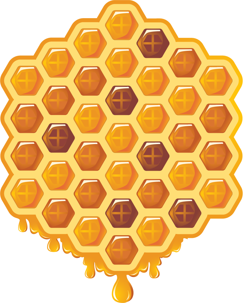 hive elements of honey and bees set