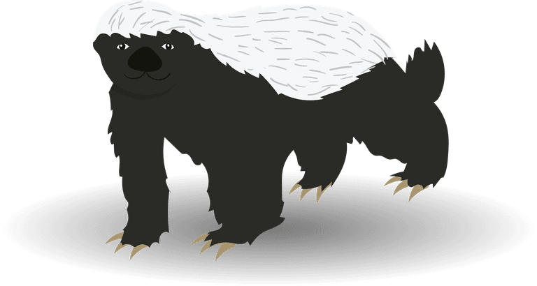 honey badger honey badger illustration set with various pose