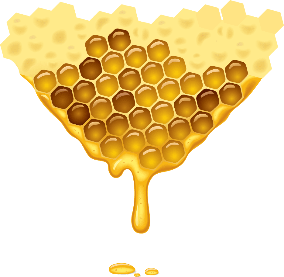 honeycomb bee honey honeycomb vector art for food packaging and logo inspiration