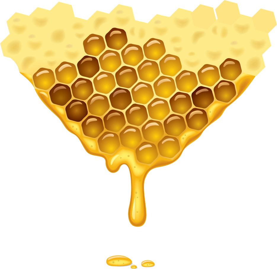 honeycomb bee honey honeycomb vector art for food packaging and logo inspiration