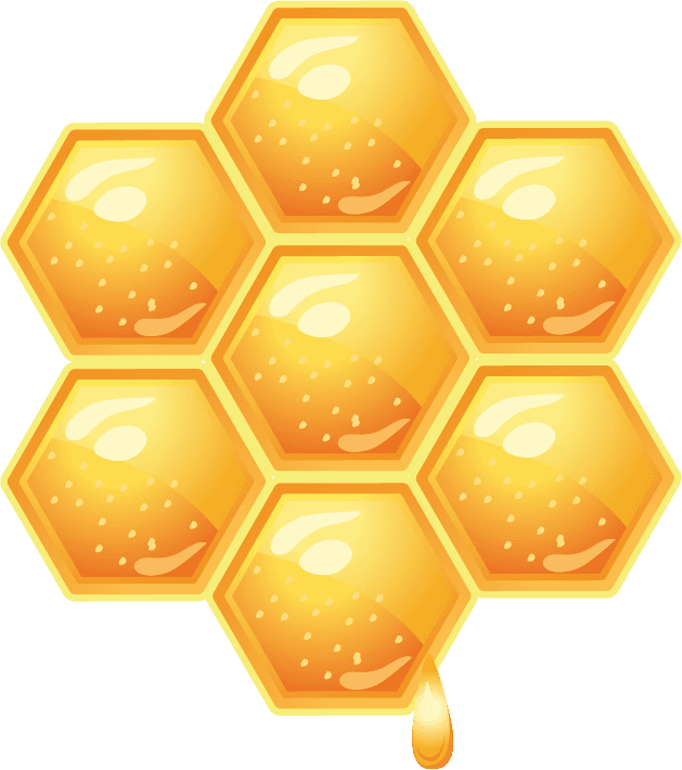 honeycomb honey bee elements for creative projects and nature-inspired designs