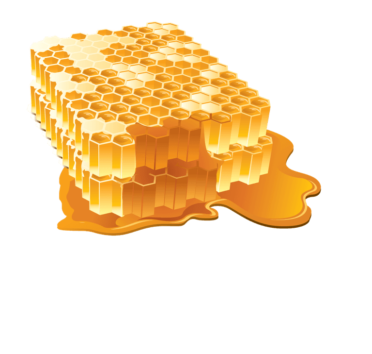 honeycomb honey bees collected for sweet recipes and natural remedies