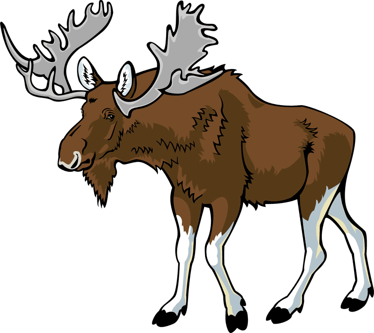 horn deer different type of wildlife animals on white background illustration
