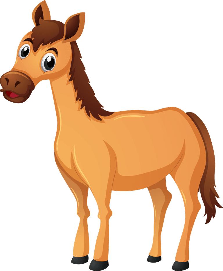 horse different types of wild animals in australia illustration
