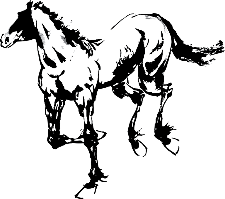 horse hand drawn horse vectors set