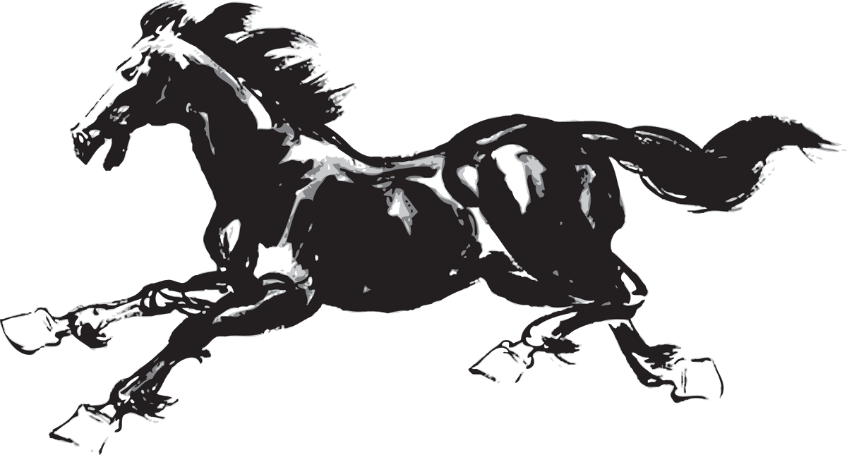 horse hand drawn horse vectors set