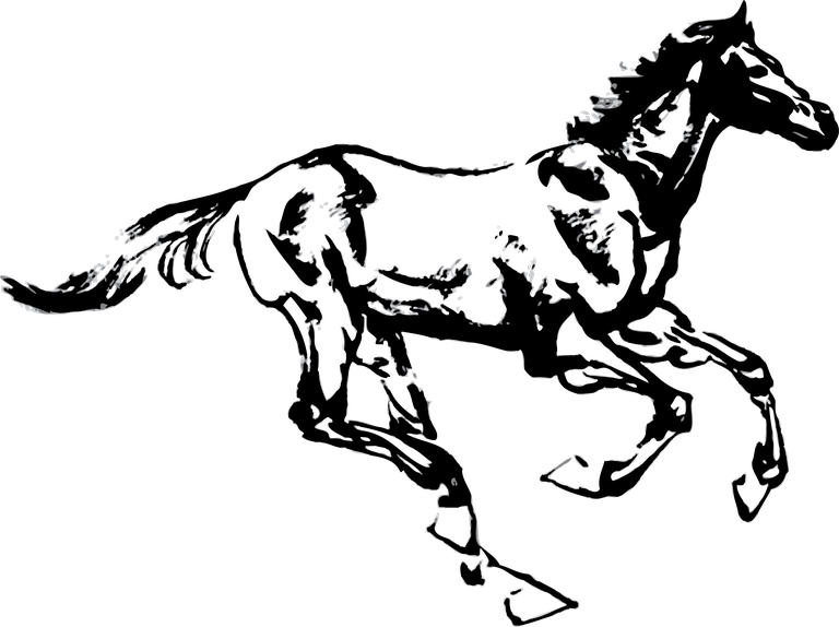 horse hand drawn horse vectors set