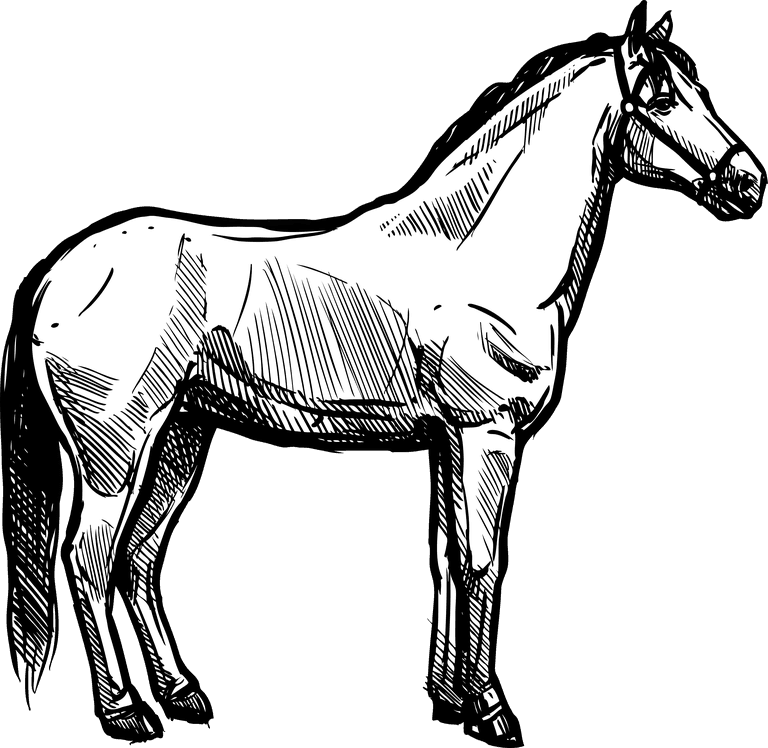 horse organic farm set featuring hand-drawn illustrations for eco-friendly agriculture and animal care