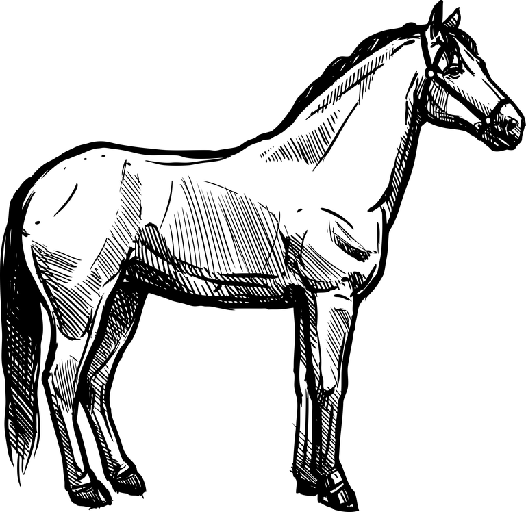 horse organic farm set featuring hand-drawn illustrations for eco-friendly agriculture and animal care