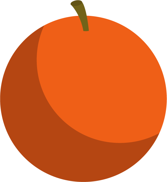 houseware kitchen tool color vibrant orange fruit for culinary creations