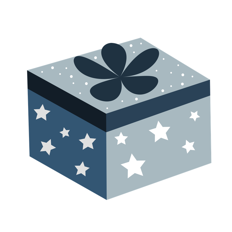 stylized blue and grey gift box with star and flower details, a cartoon present illustration