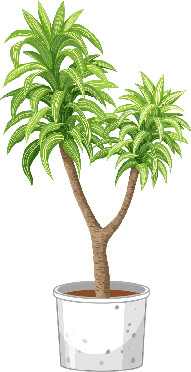 icon interior furniture decorations featuring a beautiful potted plant for lively home spaces