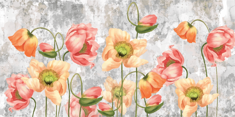 illustration art drawn poppies on textured gray