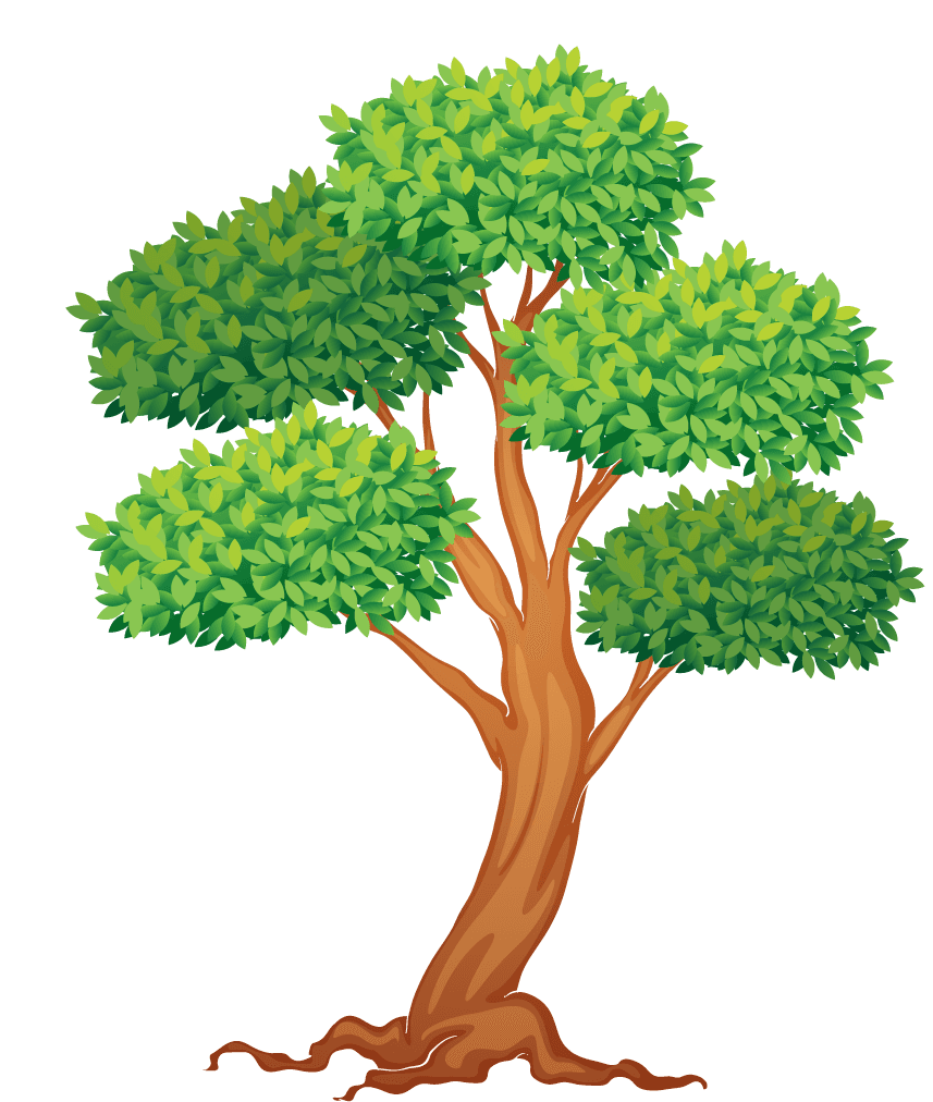 illustration of a of many trees