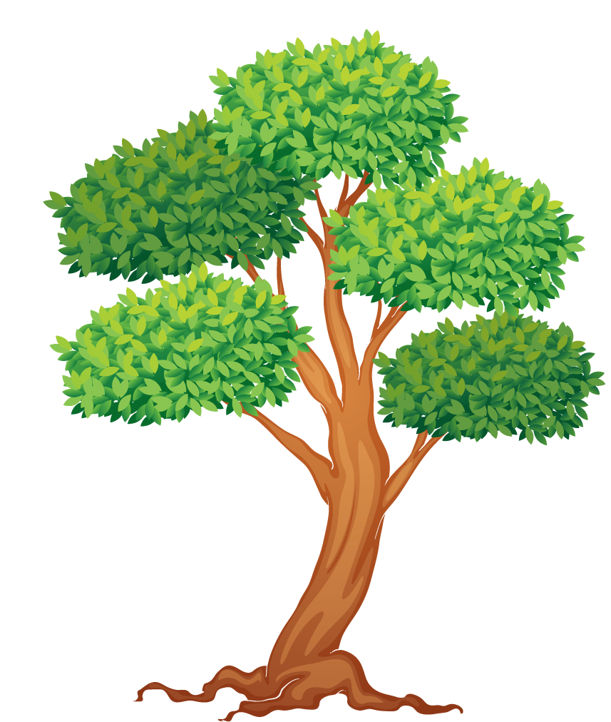 illustration of a of many trees