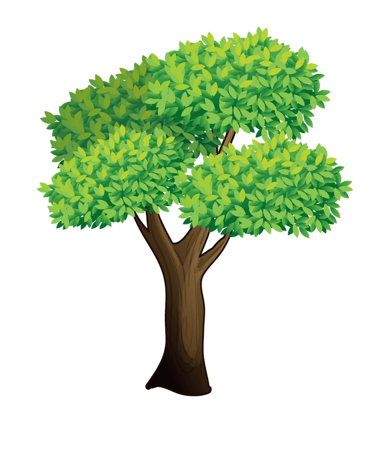 illustration of a of many trees