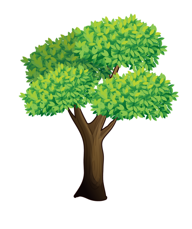 illustration of a of many trees