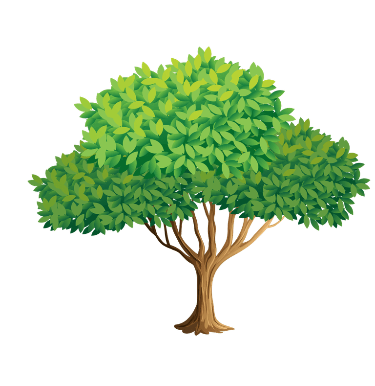 illustration of a of many trees