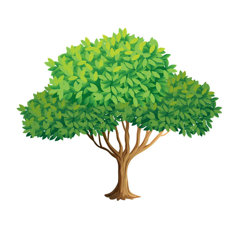illustration of a of many trees