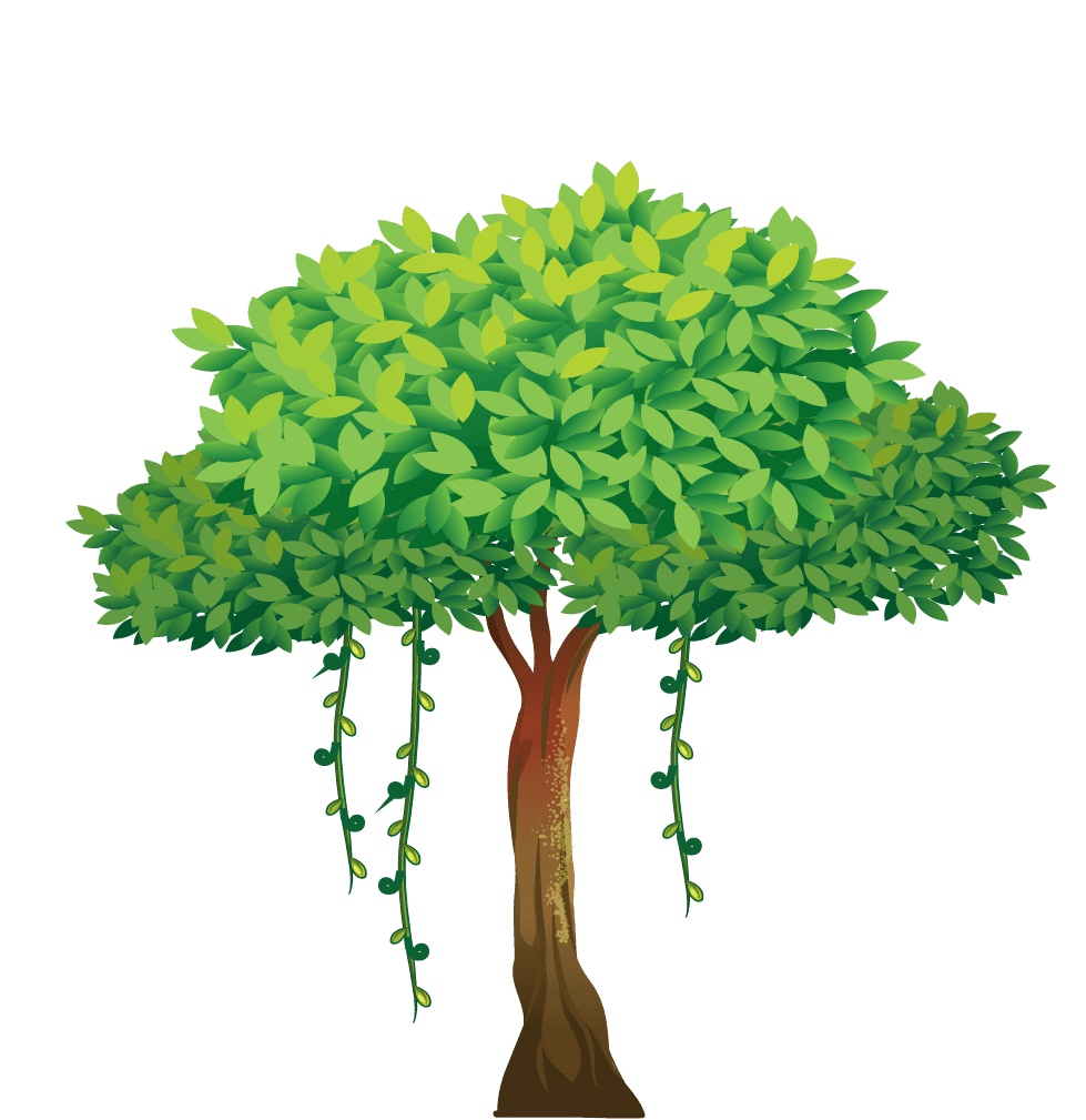 illustration of a of many trees