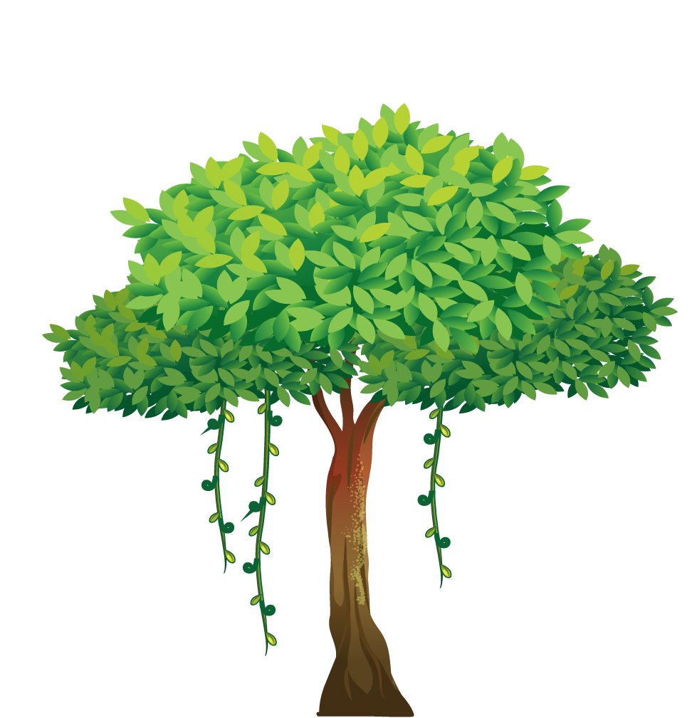 illustration of a of many trees