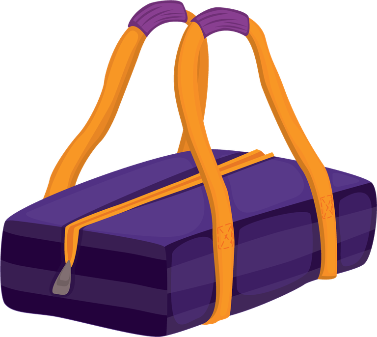 illustration of assortment of bags showcasing vibrant colors and functional styles