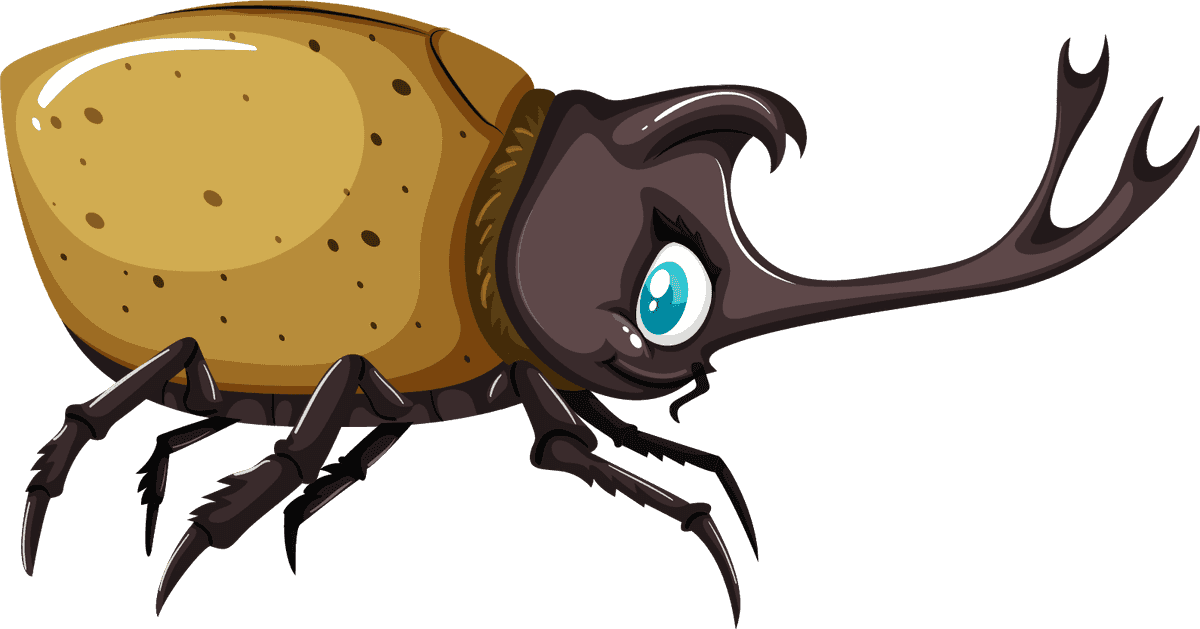 colorful cartoon style insect