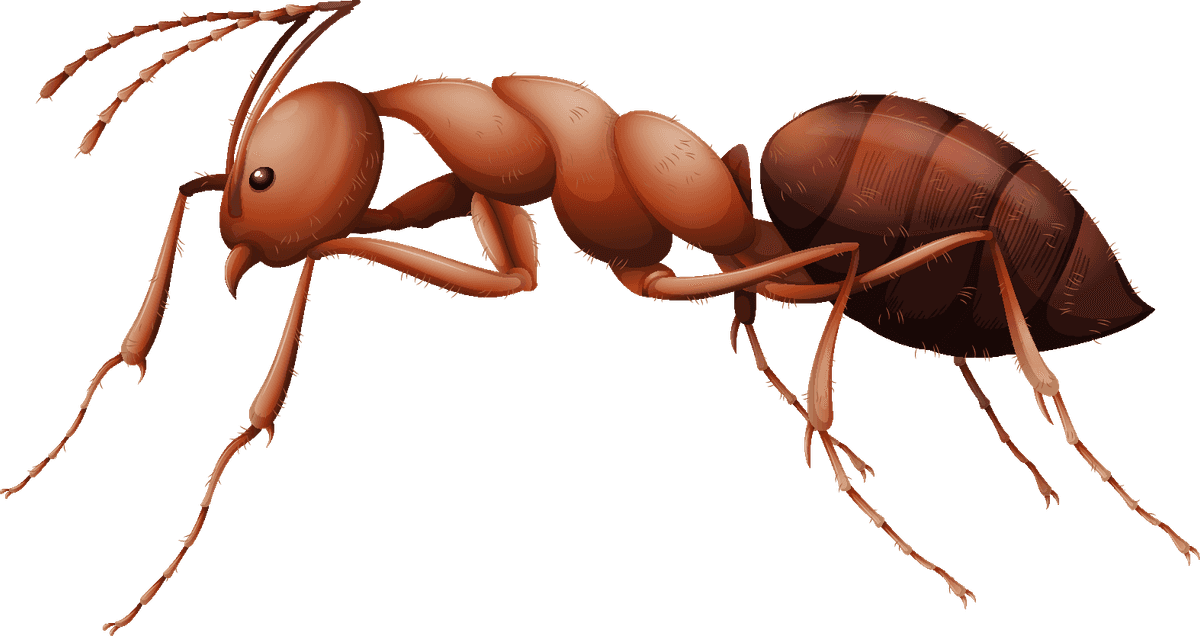 colorful cartoon style insect illustration of a playful and friendly ant character