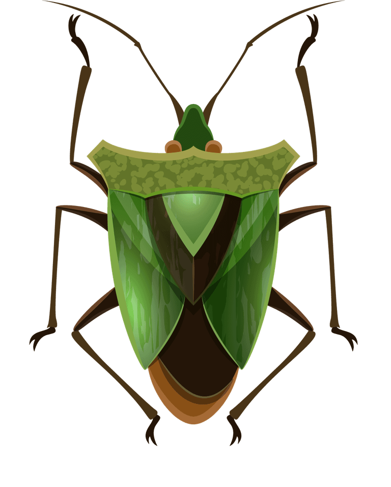 insect insect cute cartoon