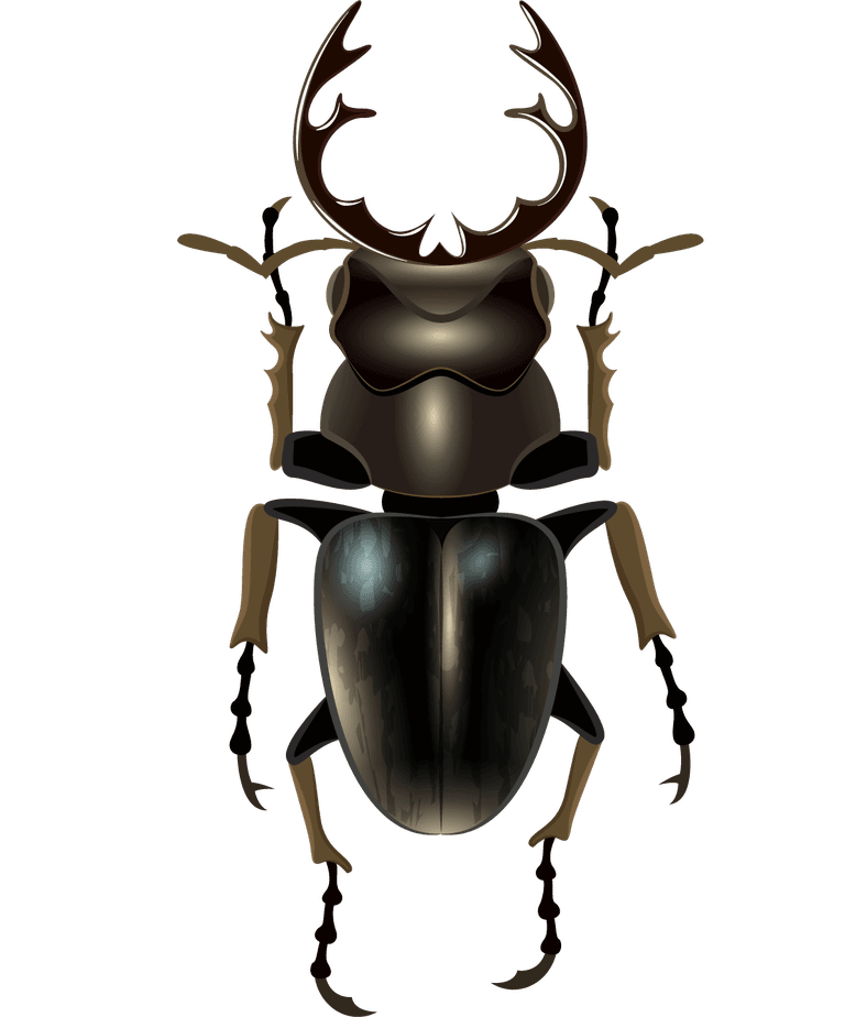 insect insect cute cartoon