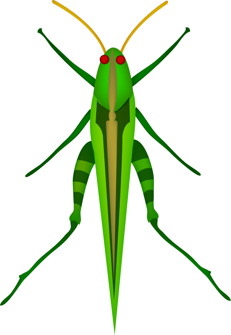 insect insect cute cartoon