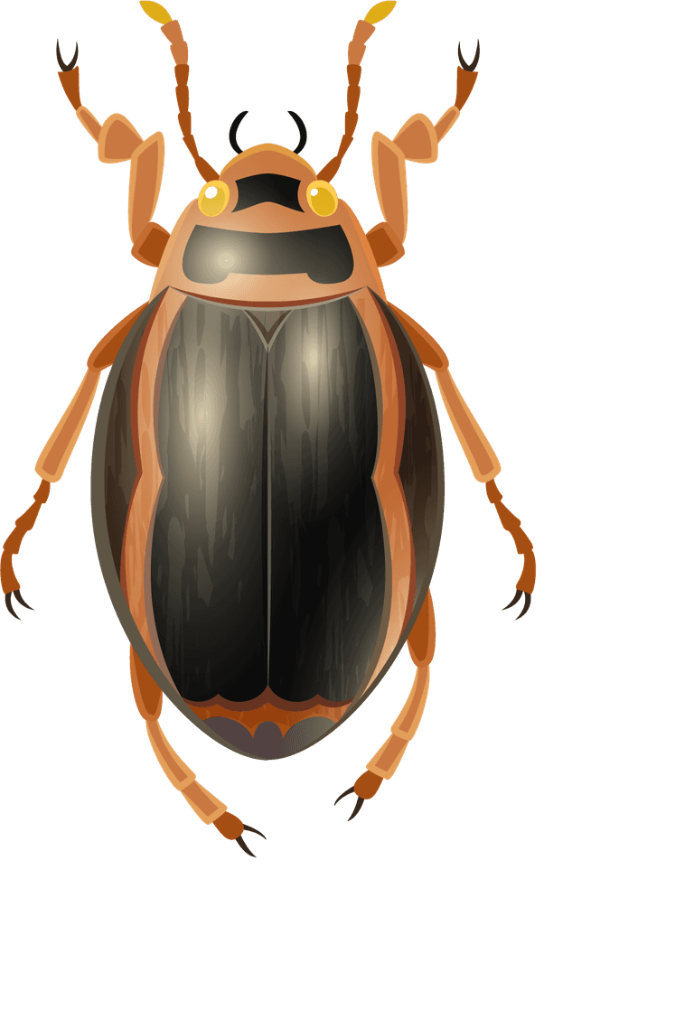 insect insect cute cartoon