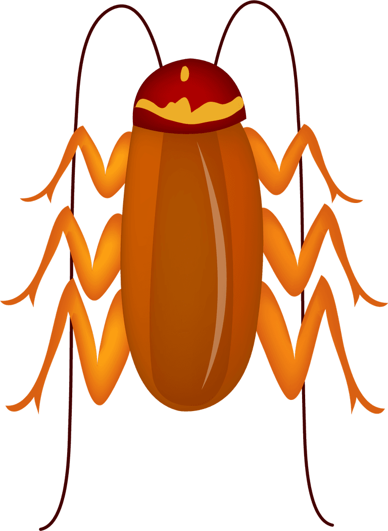 insect insect cute cartoon