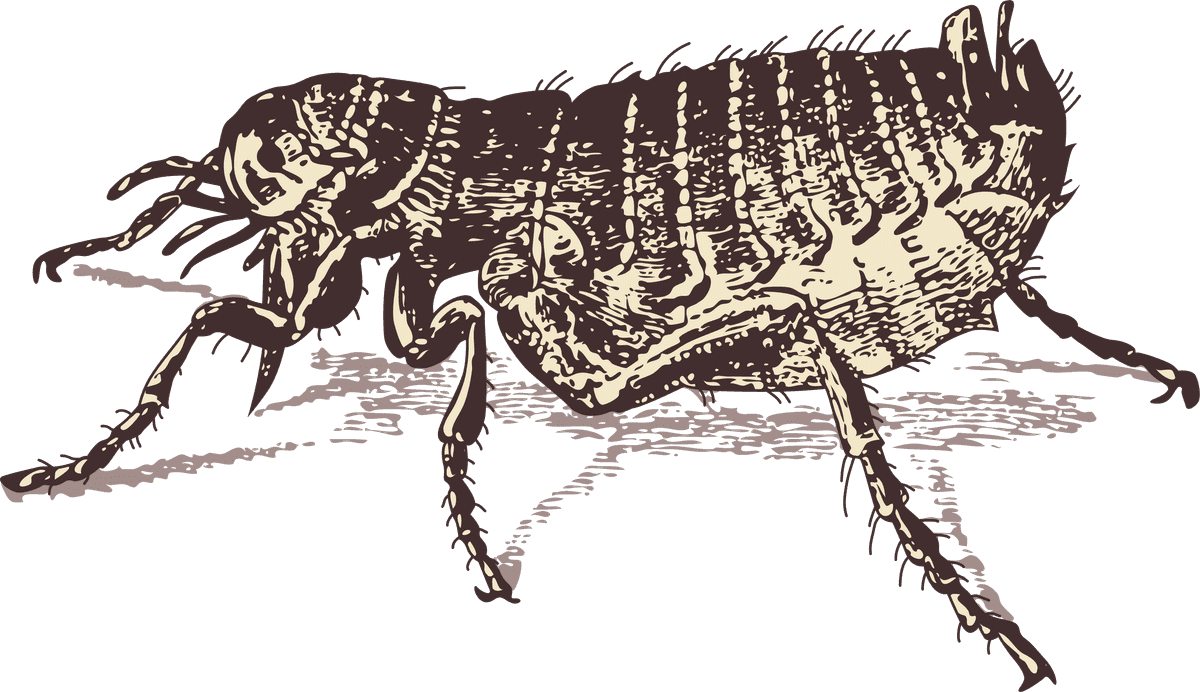 handpainted animals vector featuring insects drawing for educational and decorative uses