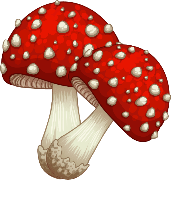 isolated gardening and outdoor objects featuring vibrant red spotted mushrooms for decorative uses