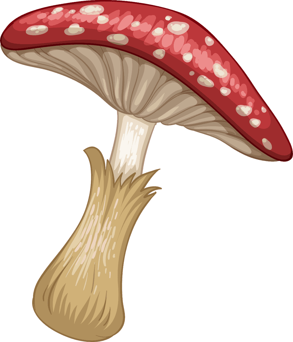 isolated gardening and outdoor objects featuring a vibrant red mushroom illustration