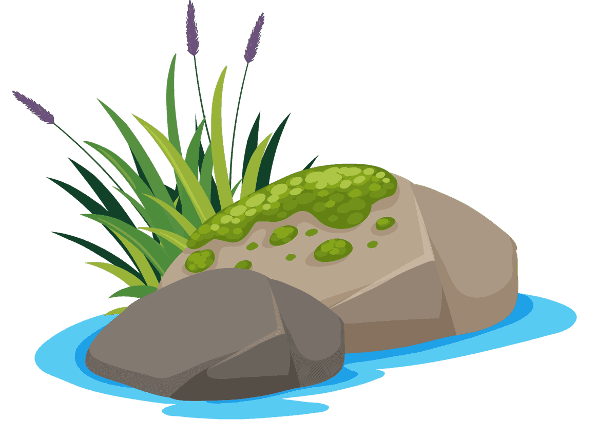 isolated gardening and outdoor objects featuring rocks, plants, and water elements for serene landscapes