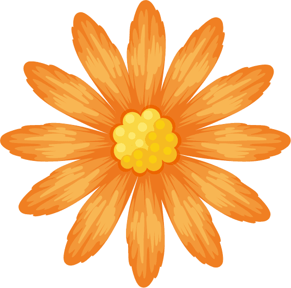 isolated gardening and outdoor objects featuring a vibrant orange flower illustration